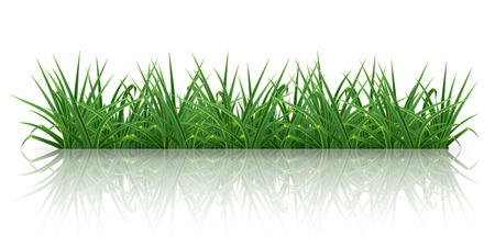 Grassのイラスト素材