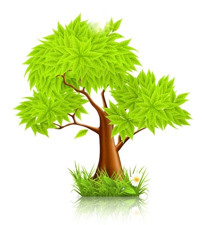 Green Treeのイラスト素材