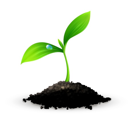 Plantのイラスト素材