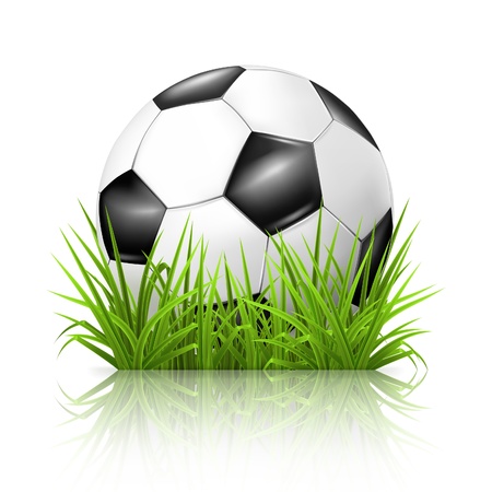 Soccer ball on grassのイラスト素材