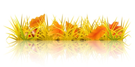 Autumn grassのイラスト素材