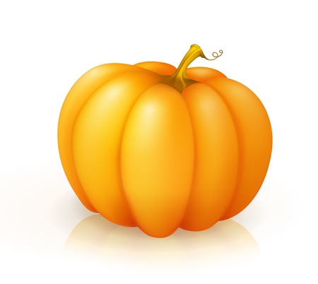 Pumpkinのイラスト素材