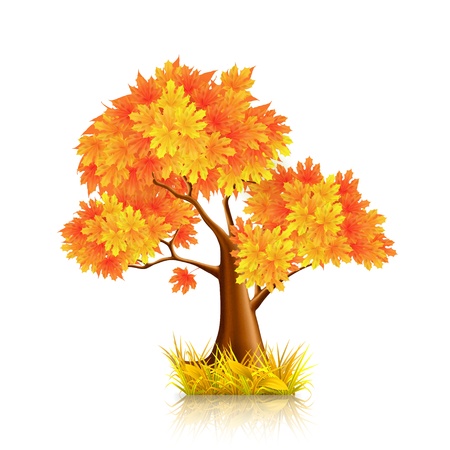Red Treeのイラスト素材