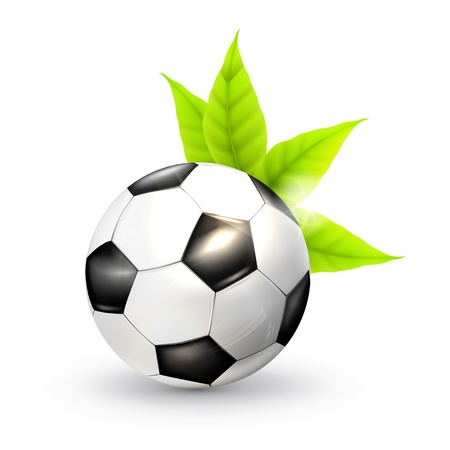 Soccer ball and green leavesのイラスト素材
