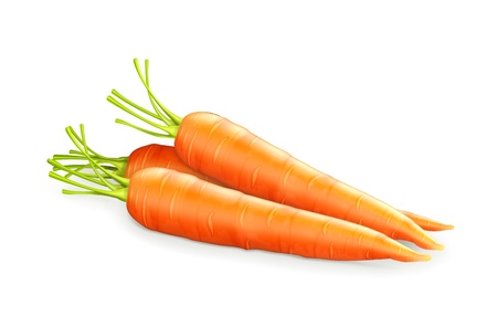 Carrotsのイラスト素材
