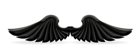 Black wingsのイラスト素材