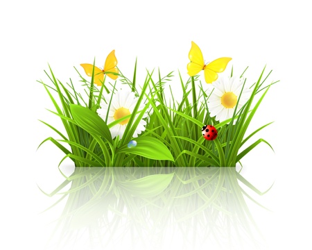 Spring grassのイラスト素材