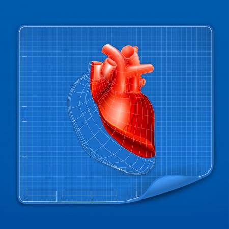 Heart structure blueprintのイラスト素材