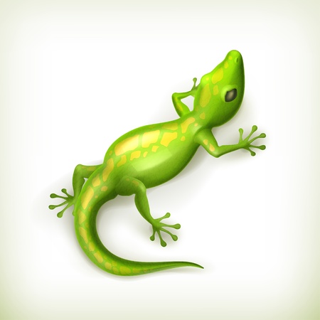 Reptileのイラスト素材