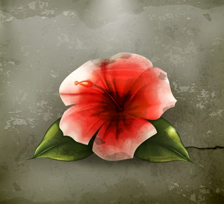 Flower red, old-styleのイラスト素材