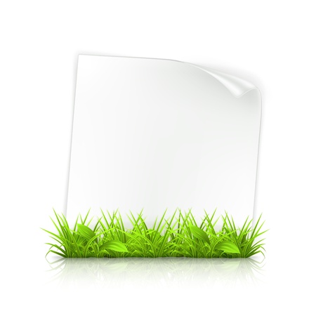 Grass and paperのイラスト素材