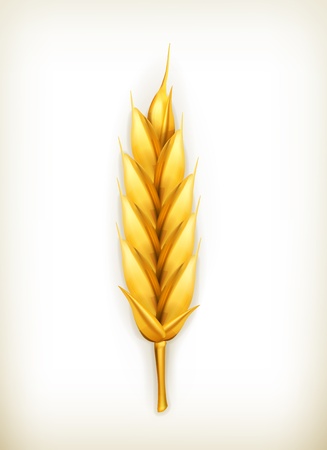 Wheat iconのイラスト素材