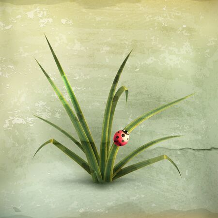 Ladybug and grass, old-styleのイラスト素材