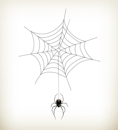 Spider and webのイラスト素材