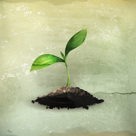 Plant, old-styleのイラスト素材