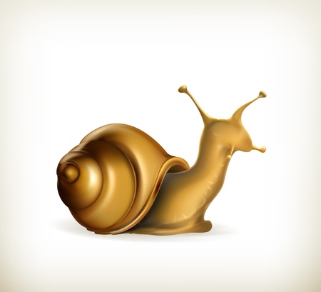 Snailのイラスト素材
