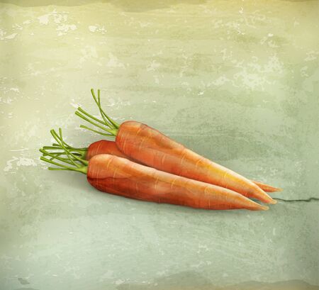 Carrots, old-styleのイラスト素材