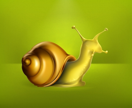 Snailのイラスト素材