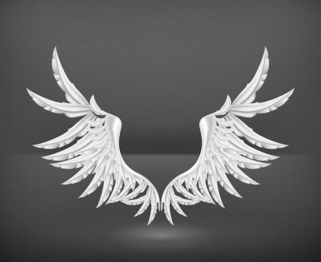 Wings Whiteのイラスト素材
