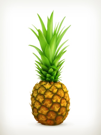 Pineappleのイラスト素材