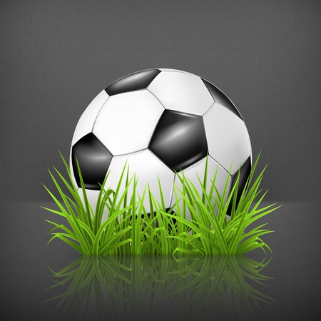 Soccer ball on grassのイラスト素材