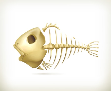 Fish skeletonのイラスト素材