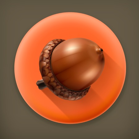 Acorn, long shadow vector iconのイラスト素材