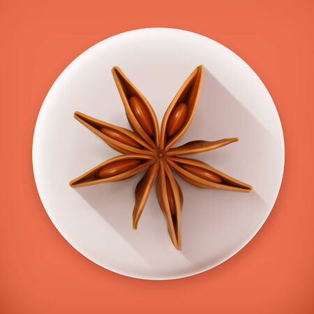 Anise, long shadow vector iconのイラスト素材