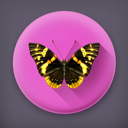 Butterfly, long shadow vector iconのイラスト素材