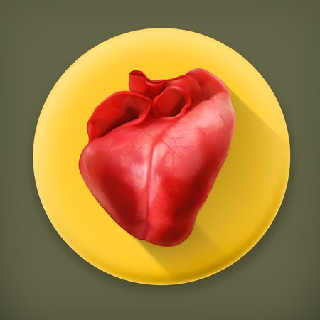 Human heart long shadow iconのイラスト素材