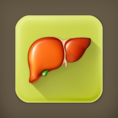Human liver long shadow iconのイラスト素材