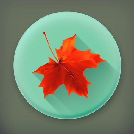 Maple leaf, long shadow iconのイラスト素材