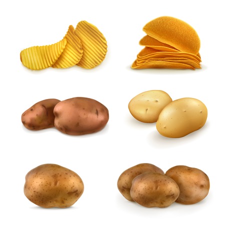 Potatoes vector setのイラスト素材