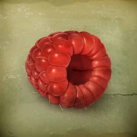 Raspberry old style vectorのイラスト素材