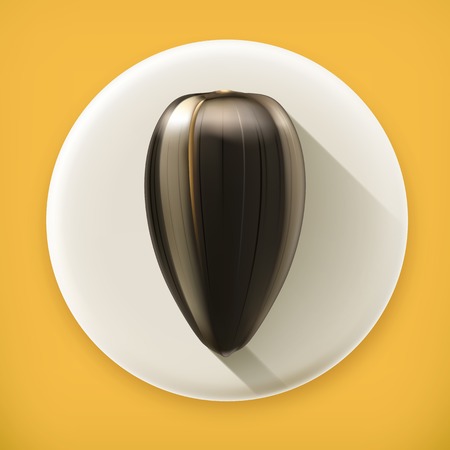 Ripe sunflower seed, long shadow vector iconのイラスト素材