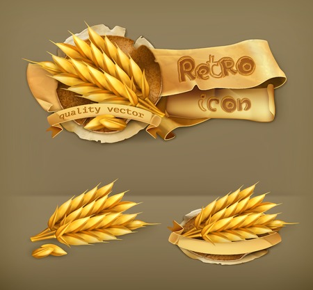Wheat, retro vector iconのイラスト素材