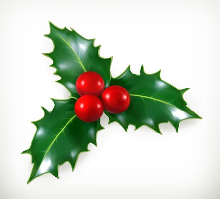 Holly, traditional Christmas decoration vector iconのイラスト素材