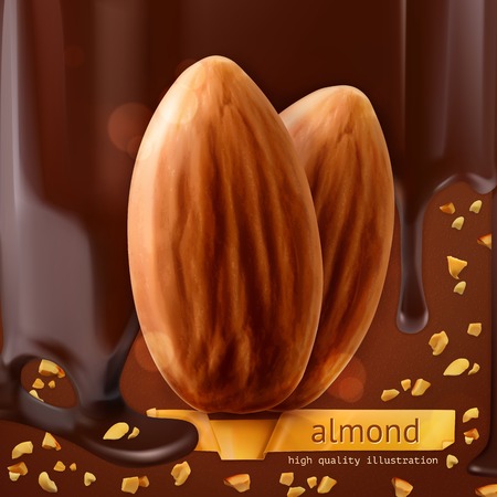 Almonds, vector backgroundのイラスト素材
