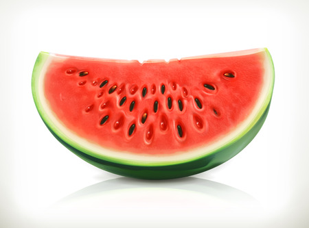 Slice of watermelon, summer fruit, vector icon Slice of watermelon, summer fruit, vector icon