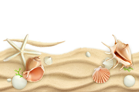 Seashells on sand, vector backgroundのイラスト素材