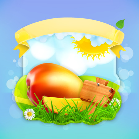 Fresh fruit label mango, vector illustration background for making design of a juice pack, jam jar etcのイラスト素材