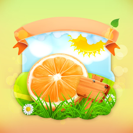 Fresh fruit label orange, vector illustration background for making design of a juice pack, jam jar etcのイラスト素材