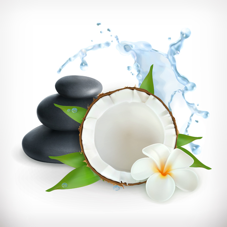 Coconut, vector illustration, isolated on white backgoundのイラスト素材