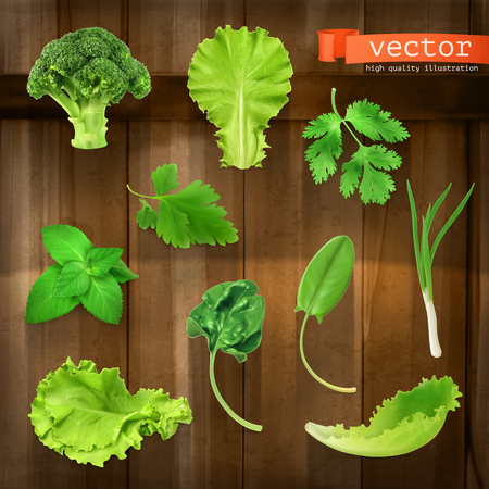Set with greens, vector icons on wooden boardのイラスト素材
