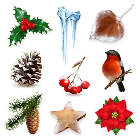 Set with winter scrap elementsのイラスト素材
