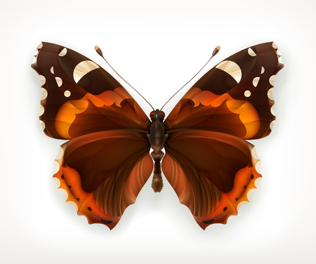 Butterfly, icon, isolated on white backgroundのイラスト素材