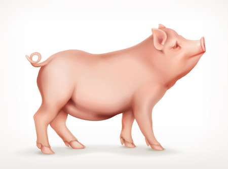 Pig, icon, isolated on white backgroundのイラスト素材
