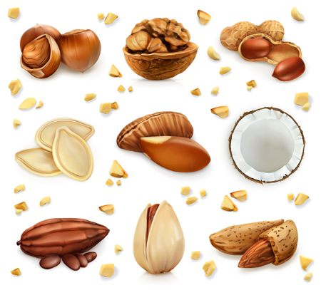 Nuts in the shell, icon set, isolated on white backgroundのイラスト素材