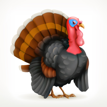 Turkey, icon, isolated on white backgroundのイラスト素材