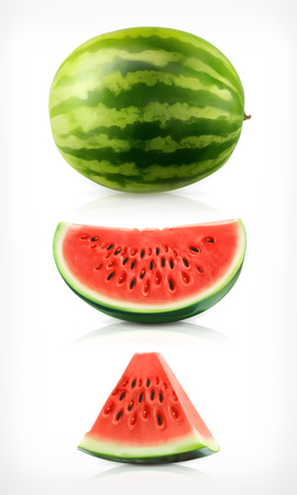 Watermelon, vector illustration icons setのイラスト素材